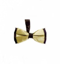 BT021 design two color matching tie for men and women bridegroom's best man evening performance collar tie manufacturer side view